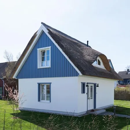 Traumgarten Harmonie *